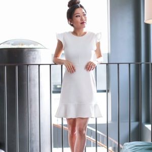 Express fit and flare ruffle dress